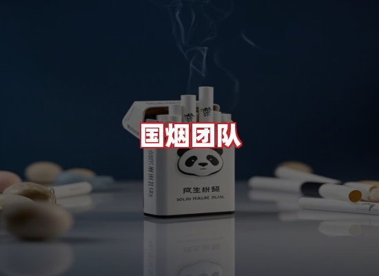 国烟团队