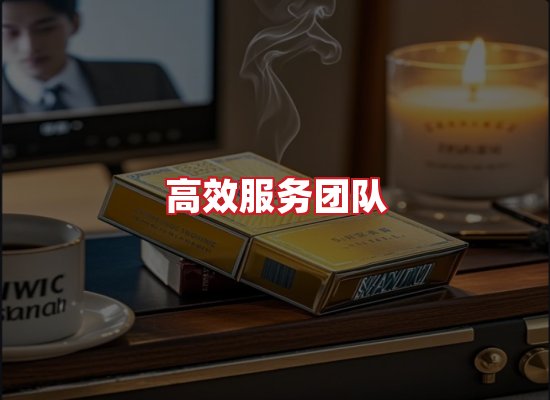 专业团队